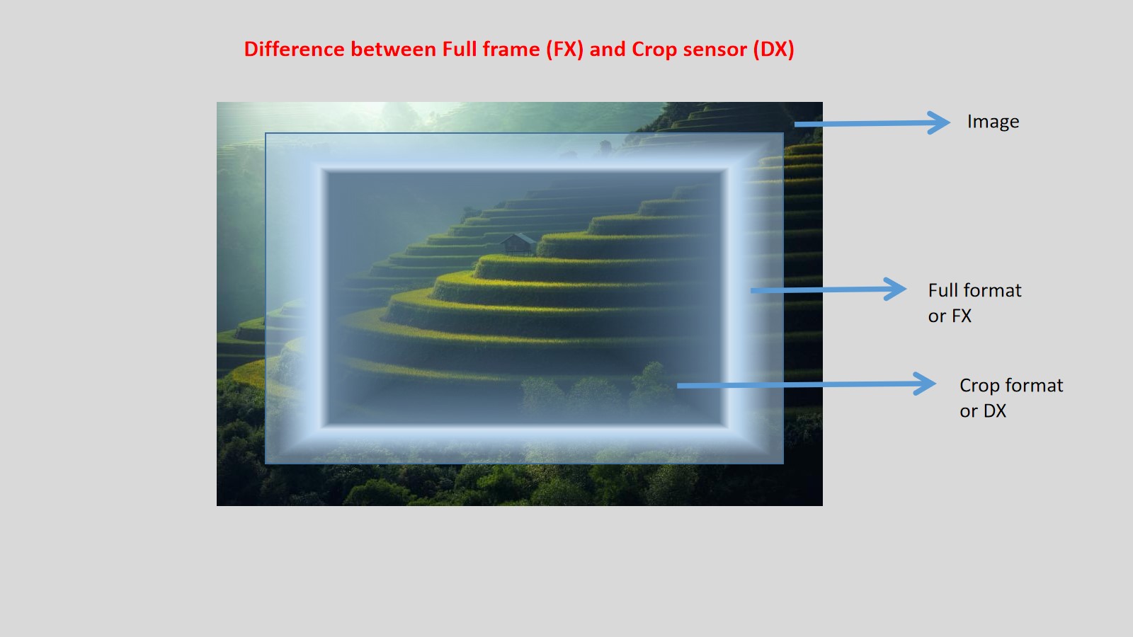 fullframe and crop sensor