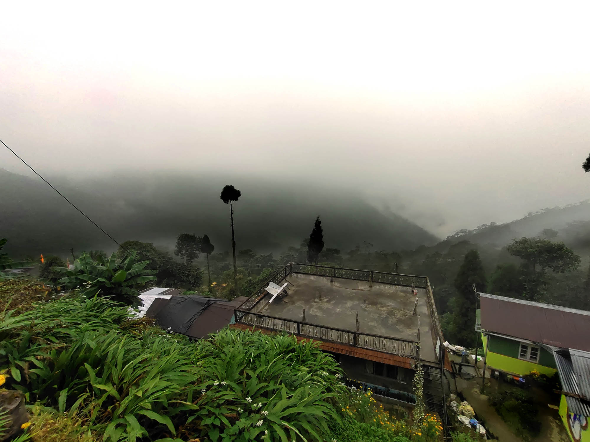 Rangaroon – Mystic Mist On The Green Tea Valley