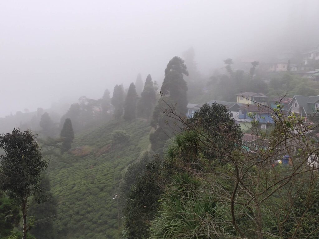 mystic mist in rangaroon