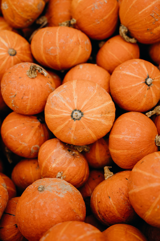 orange color pumpkin