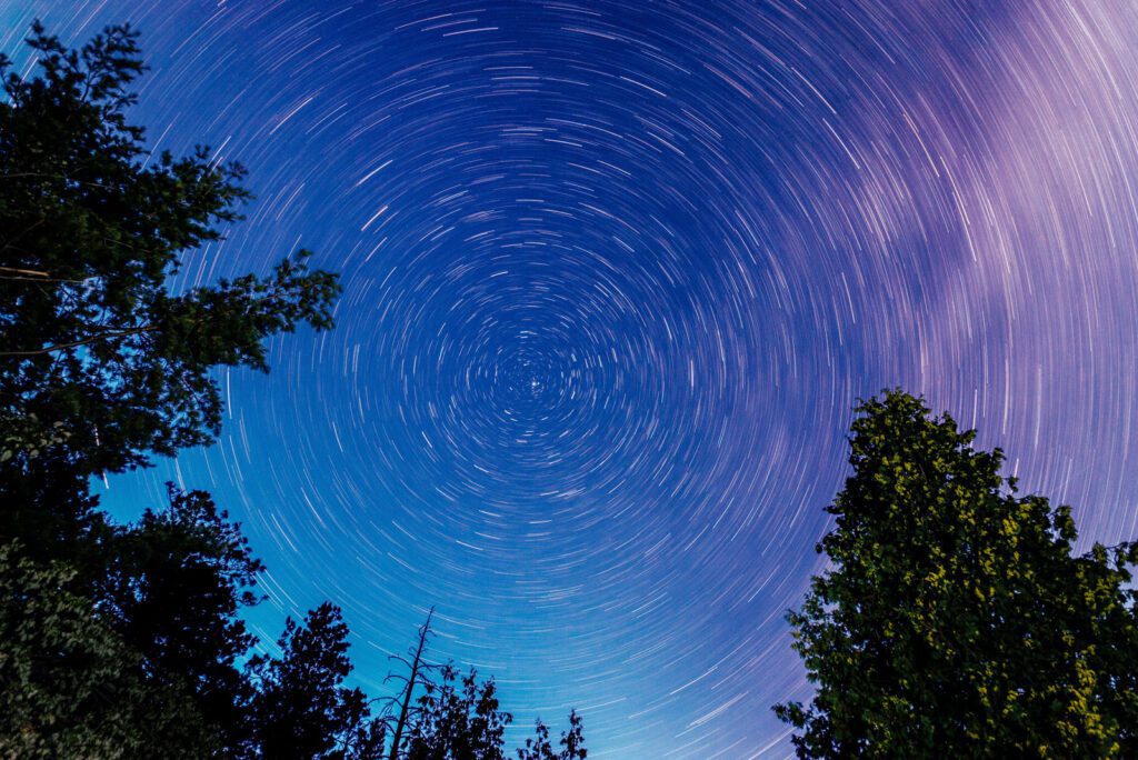 star trail with tree