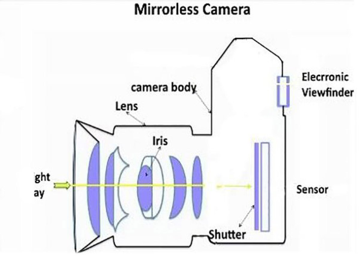 mirrorless camera mechanism