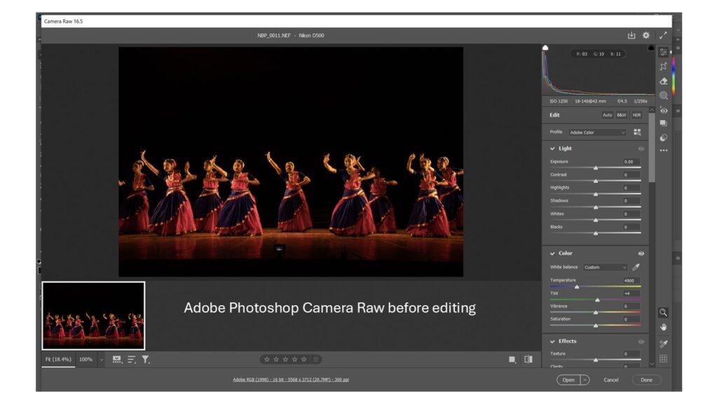 photoshop-camera-raw-before-editing