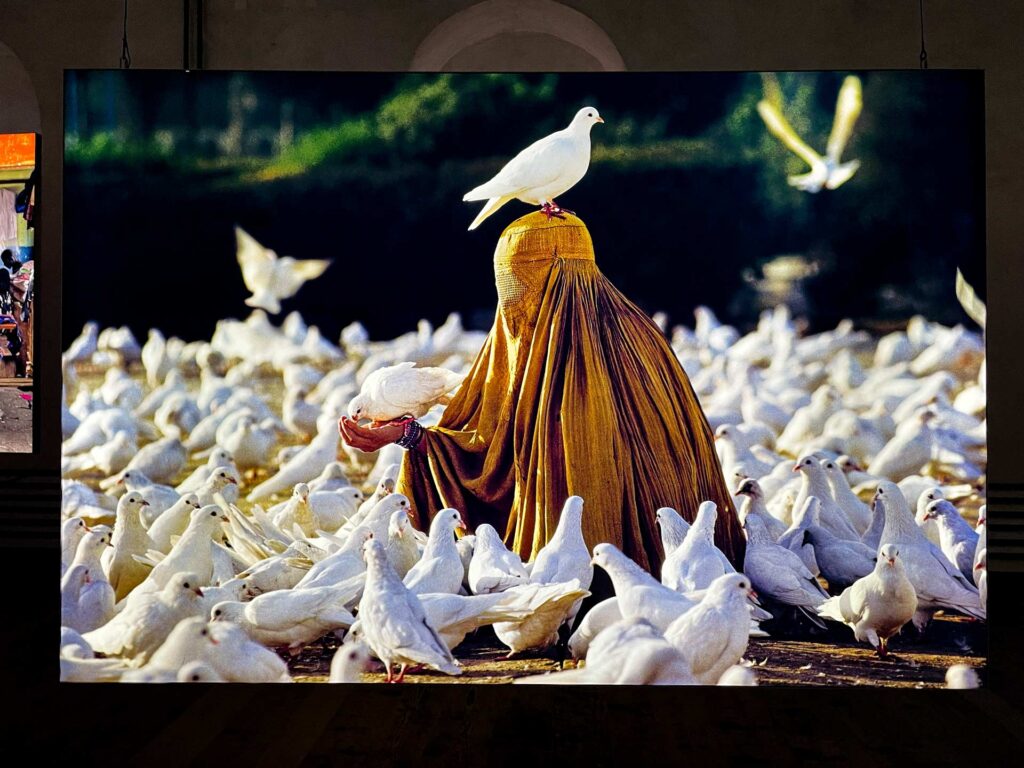 steve mccurry photographer