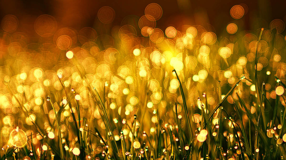 bokeh-photography-6