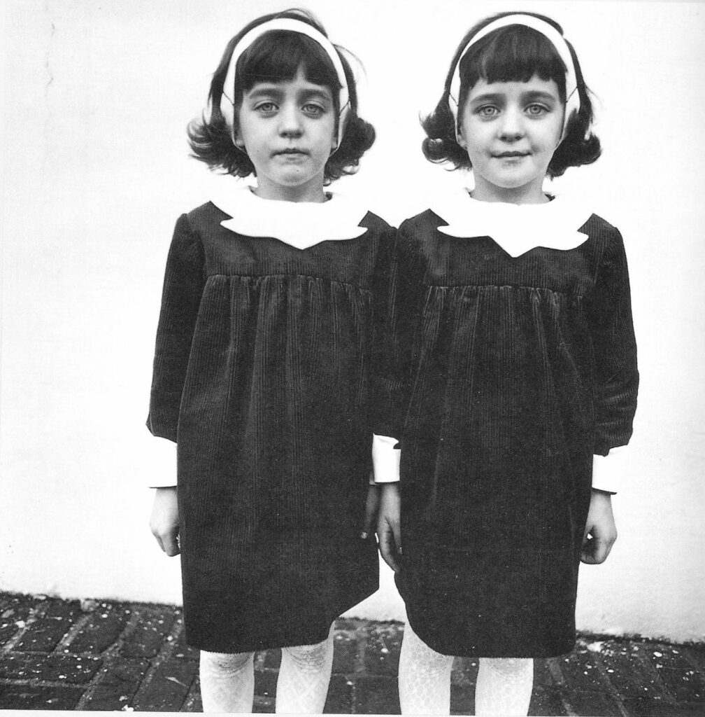 diane arbus the twins