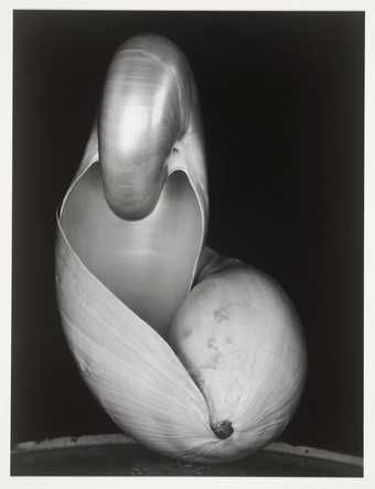 edward weston photography 1