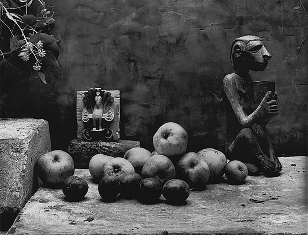 Apples_with_a_statue_from_Papua_Somerset_England_1995-don maccullin-dailymail
