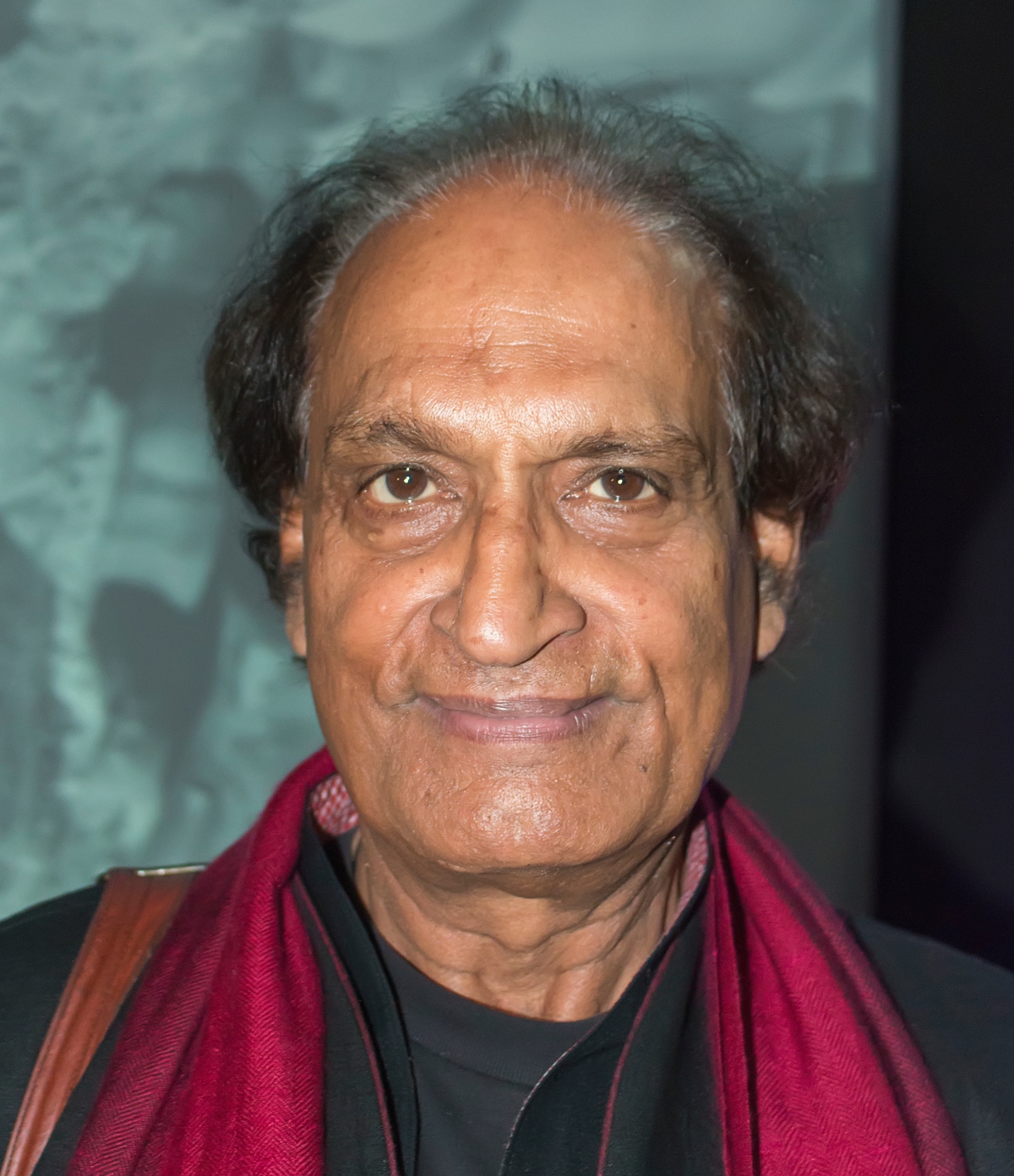 Raghu_Rai_pix_by_Vikramjit_Kakati