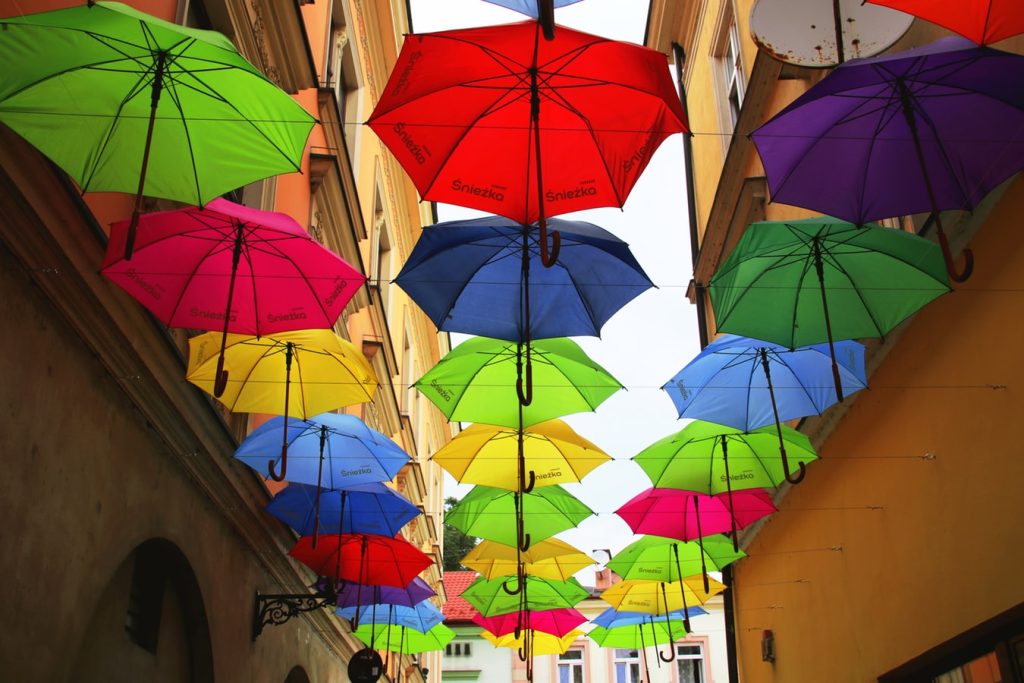 Photo-by-Iga-Palacz-light-stalking
