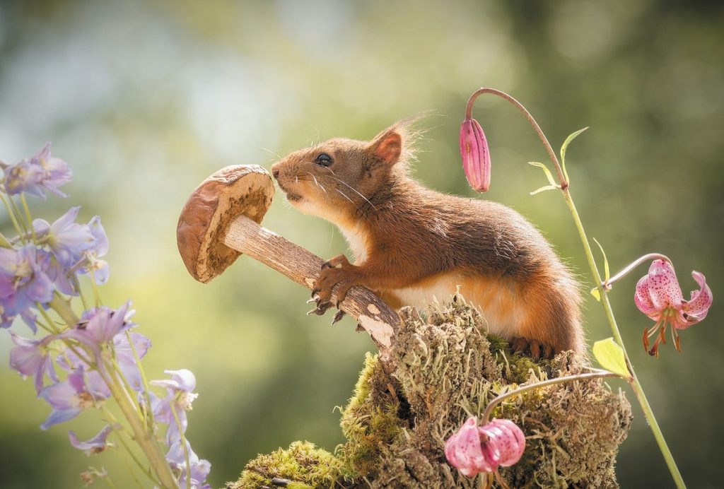 ai-assisted-photography-geert-weggen