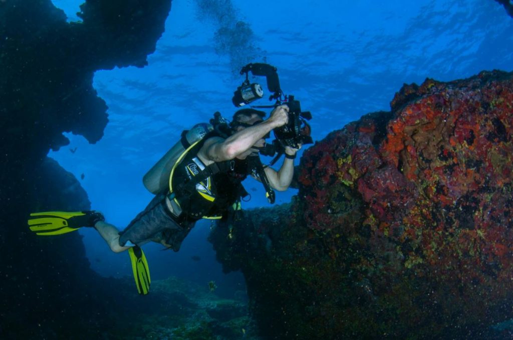 underwater-photography-16