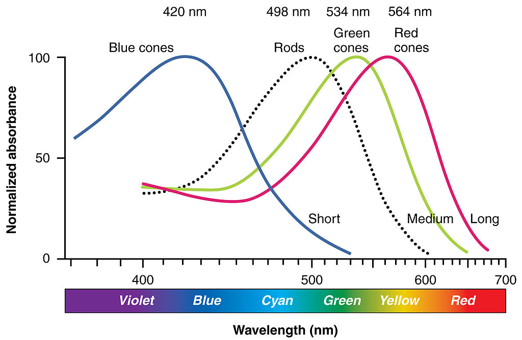 Camera sensor spectral sensitivity