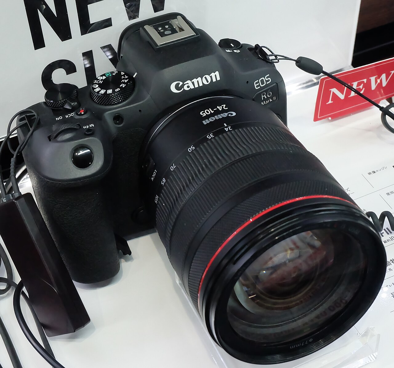 best-camera-for-street-photography-canon-r6-markII