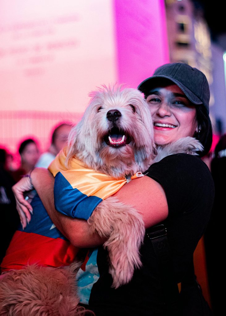 pet photography image 12