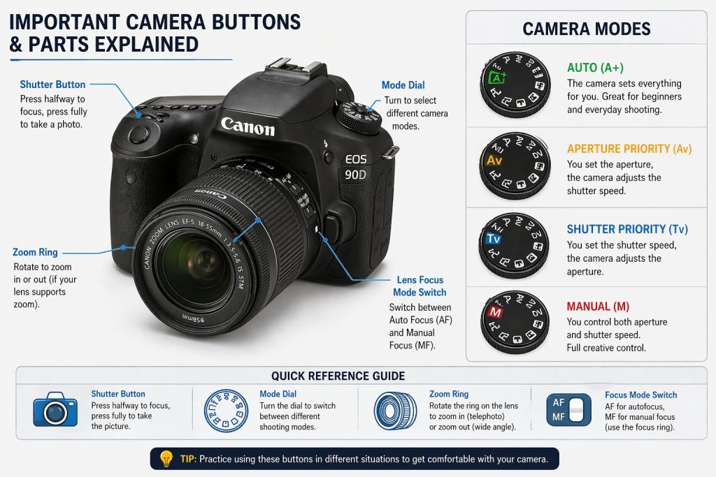 photography basics of camera's basic modes
