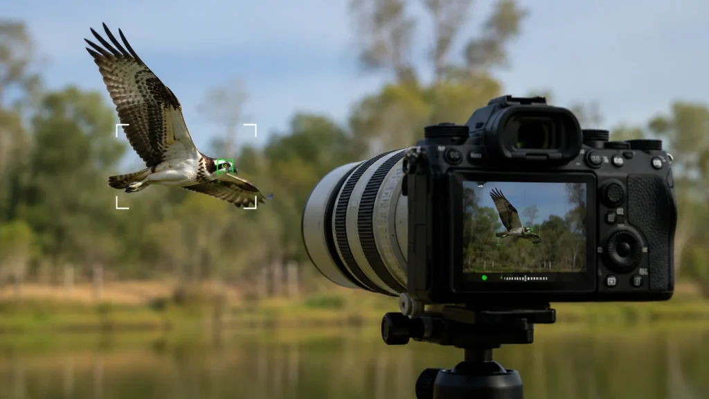 camera processor subject detection