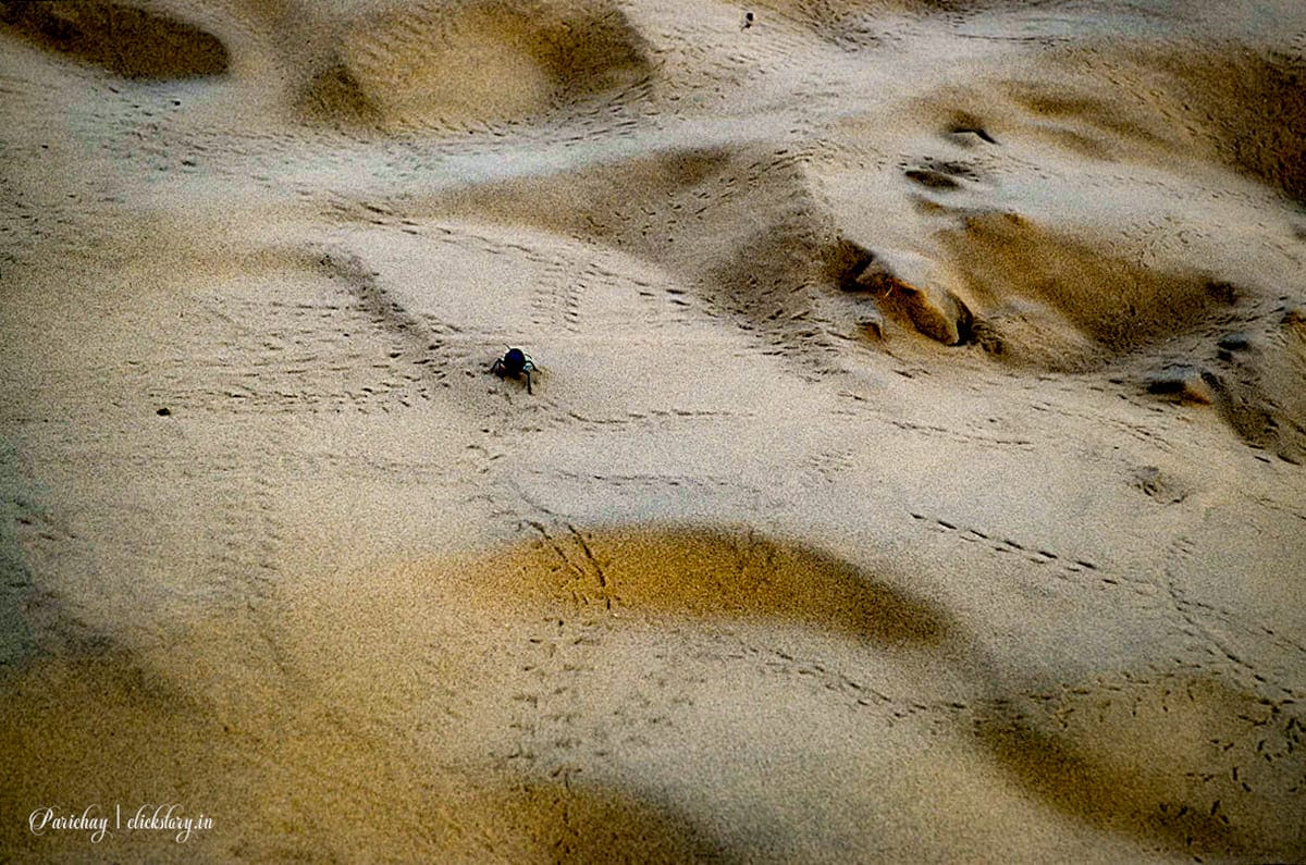 insect footsteps on sand - symbolism in photography