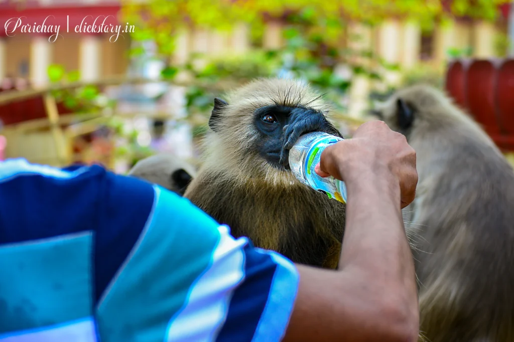visual storytelling featured image