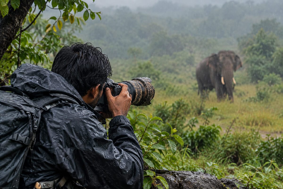 weather sealed camera in wild life photography