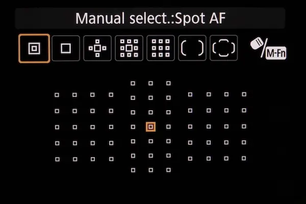 spot AF DSLR
