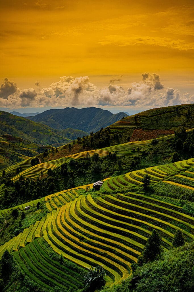 best-camera settings for landscape