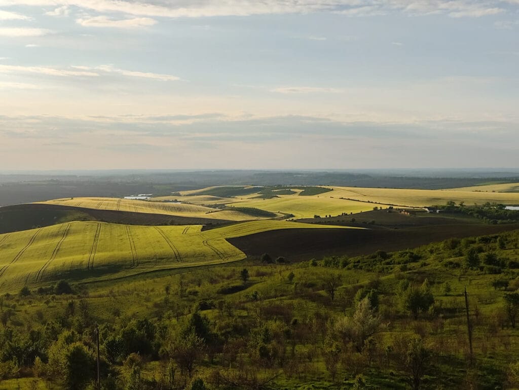 landscape camera settings